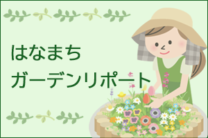 はなまちガーデンリポート
